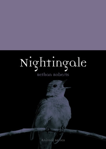 Nightingale - Bethan Roberts