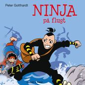 Ninja pa flugt