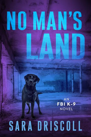 No Man's Land - Sara Driscoll