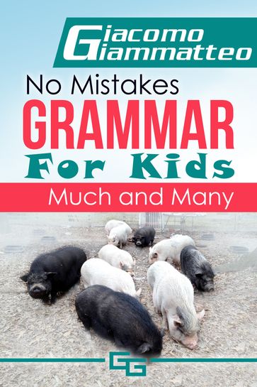 No Mistakes Grammar for Kids, Volume I, Much and Many - Giacomo Giammatteo