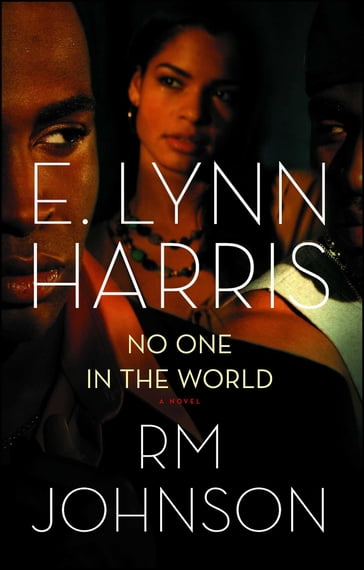 No One in the World - E. Lynn Harris - RM Johnson