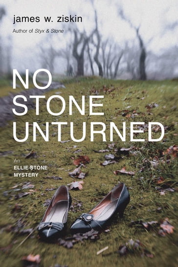 No Stone Unturned - James W. Ziskin