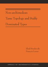 Non-Archimedean Tame Topology and Stably Dominated Types (AM-192)