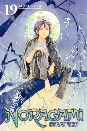 Noragami: Stray God 19 - Adachitoka