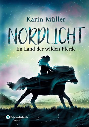 Nordlicht, Band 01 - Karin Muller