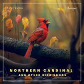 Northern Cardinal and Other Bird Songs