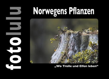 Norwegens Pflanzen - fotolulu
