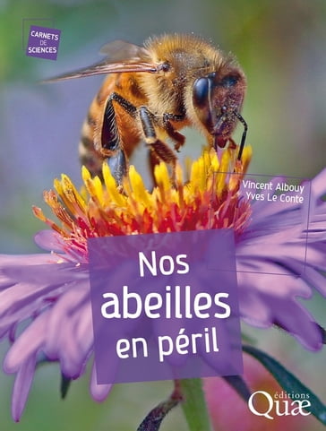 Nos abeilles en péril - Vincent Albouy - Yves Le Conte