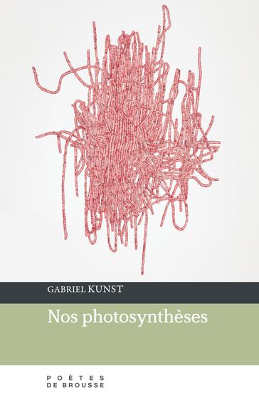 Nos photosyntheses - Gabriel Kunst