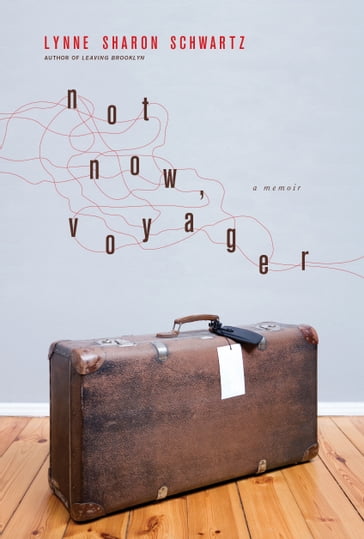 Not Now, Voyager - Lynne Sharon Schwartz