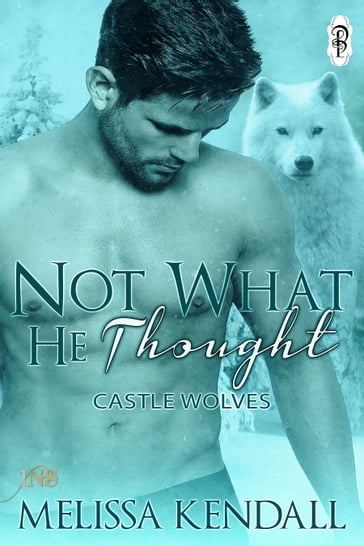 Not What He Thought (1Night Stand) - Melissa Kendall