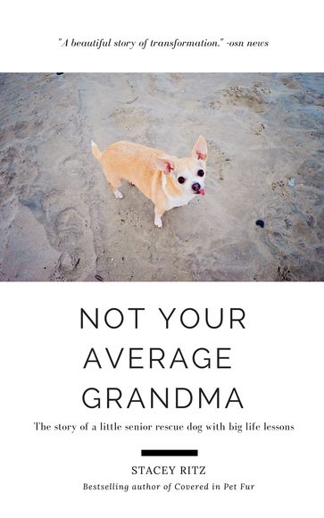 Not Your Average Grandma - Stacey Ritz