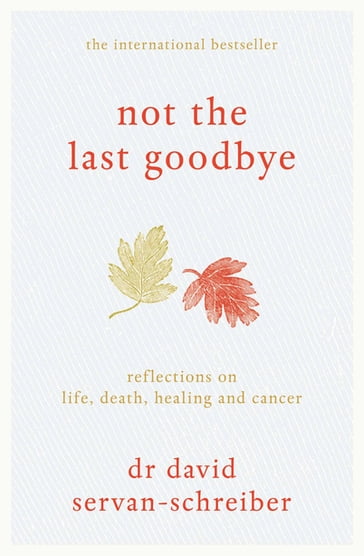 Not the Last Goodbye - David Servan-Schreiber