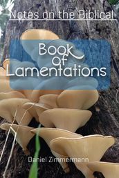 Notes on the Biblical Book of Lamentations