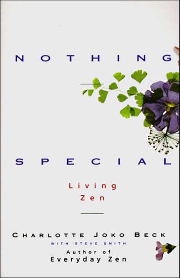 Nothing Special - Charlotte Joko Beck - Steve Smith