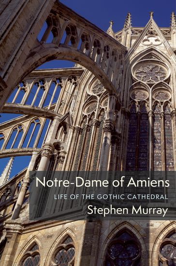 Notre-Dame of Amiens - Stephen Murray