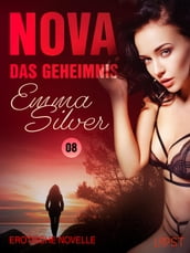 Nova 8: Das Geheimnis  Erotische Novelle