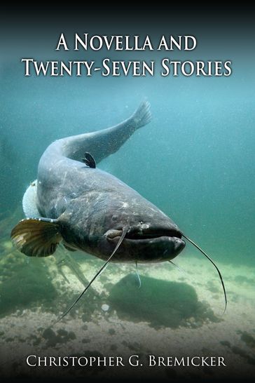 A Novella and Twenty-Seven Stories - Christopher G. Bremicker