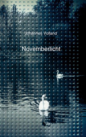 Novemberlicht - Johannes Volland