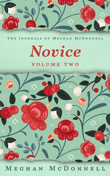 Novice: Volume Two - Meghan McDonnell