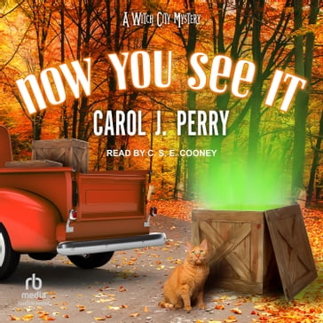 Now You See It - Carol J. Perry