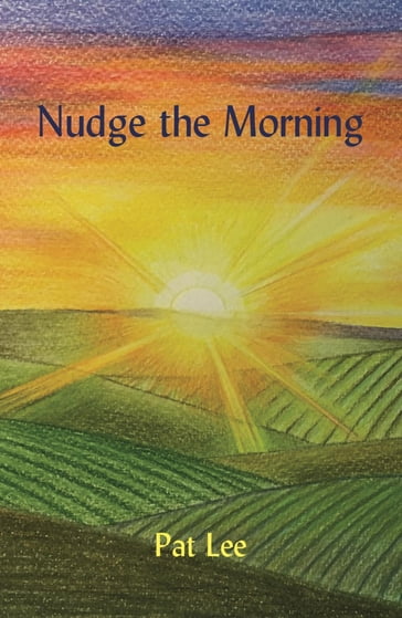 Nudge the Morning - Pat Lee