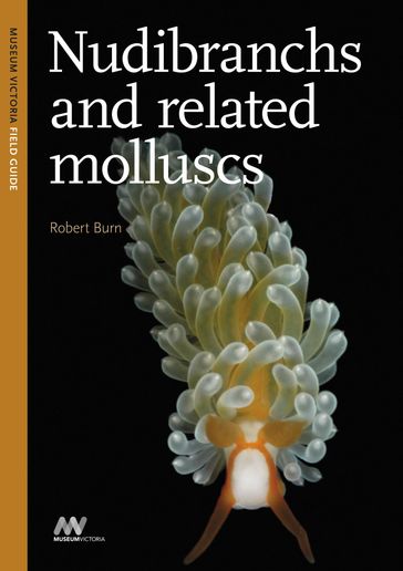 Nudibranchs and Related Molluscs - Burn - Robert