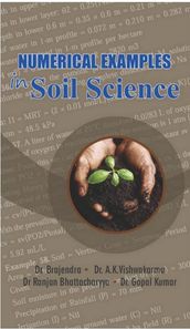 Numerical Examples In Soil Science