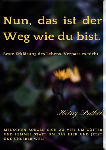 Nun, das ist der Weg wie du bist. - Heinz Duthel