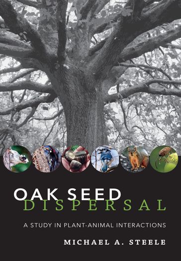 Oak Seed Dispersal - Michael A. Steele