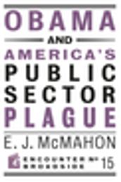Obama and America s Public Sector Plague