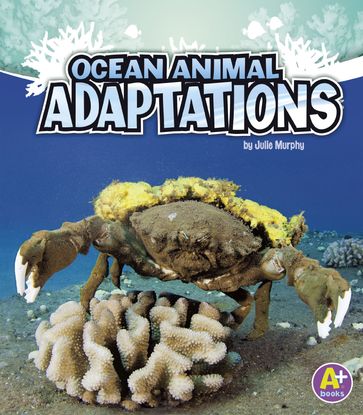 Ocean Animal Adaptations - Julie Murphy