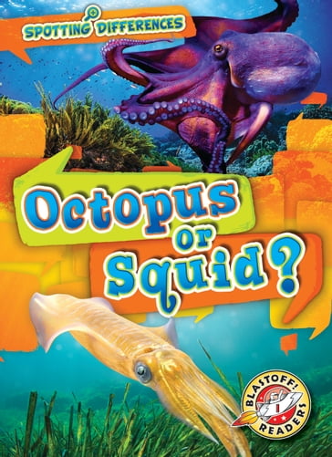 Octopus or Squid? - Christina Leaf