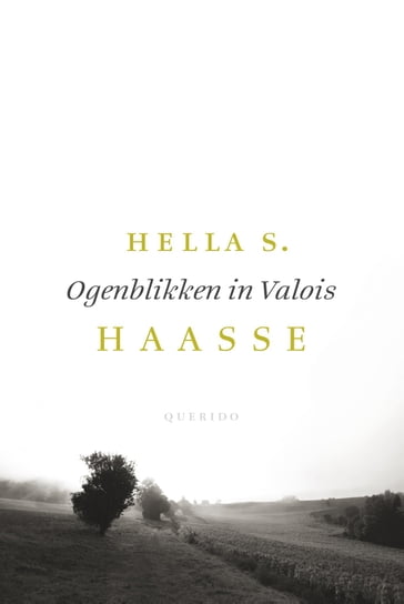 Ogenblikken in Valois - Hella S. Haasse