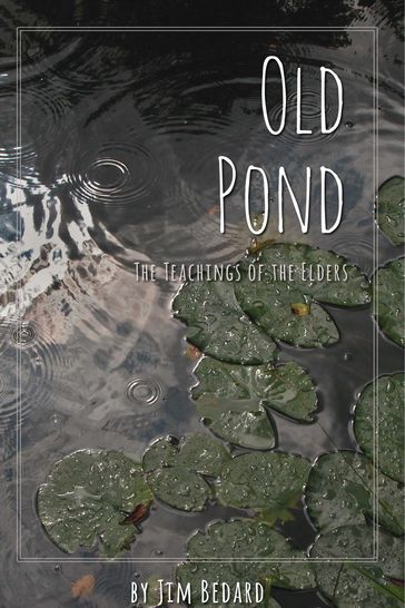 Old Pond - Jim Bedard