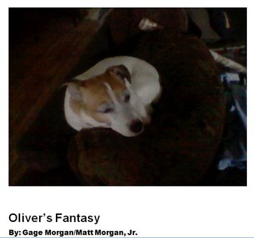 Oliver's fantasy - Smarter Buckeye