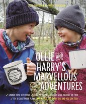 Ollie and Harry s Marvellous Adventures (International Edition)