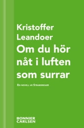 Om du hör nat i luften som surrar : en skräcknovell ur Strandridare