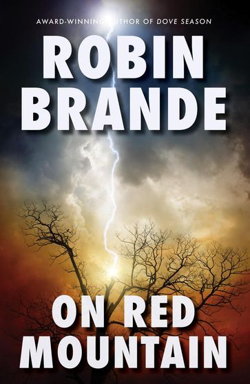 On Red Mountain - Robin Brande