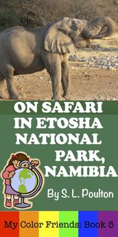 On Safari in Etosha National Park, Namibia