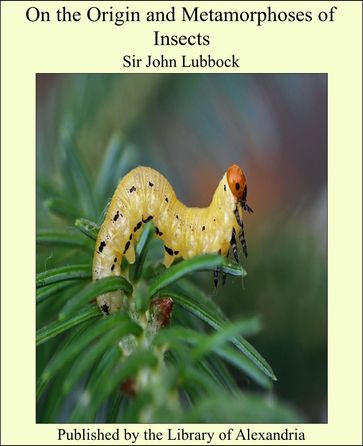 On the Origin and Metamorphoses of Insects - Sir John Lubbock