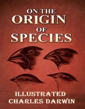 On the Origin of Species Illustrated