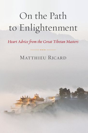 On the Path to Enlightenment - Matthieu Ricard