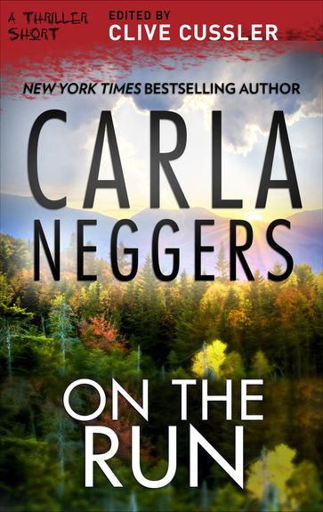 On the Run - Carla Neggers