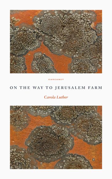 On the Way to Jerusalem Farm - Carola Luther