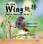 On the Wing  - North American Birds 3