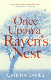 Once Upon a Raven