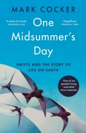 One Midsummer s Day