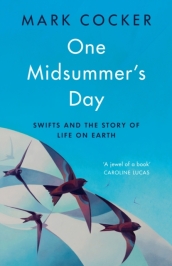 One Midsummer s Day