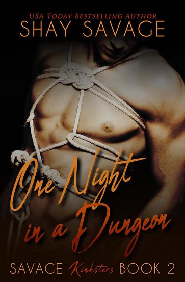 One Night in a Dungeon - Shay Savage